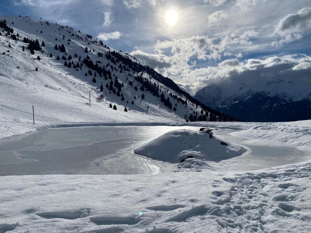 Chalet Le Montana Villard-Reculas Esterno foto